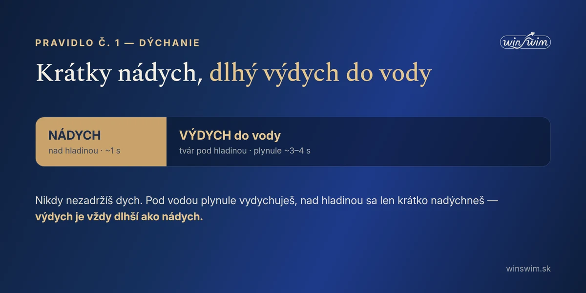 Rytmus dýchania: krátky nádych nad hladinou, dlhý výdych do vody